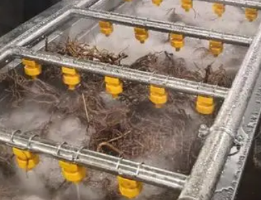 藥材清洗機設備維護（藥材清洗機的特點）